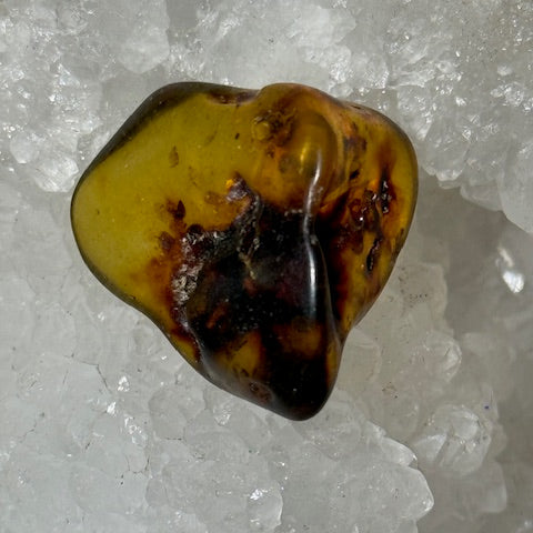 Ambre Baltique oasis de cristal