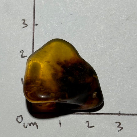 Ambre Baltique oasis de cristal