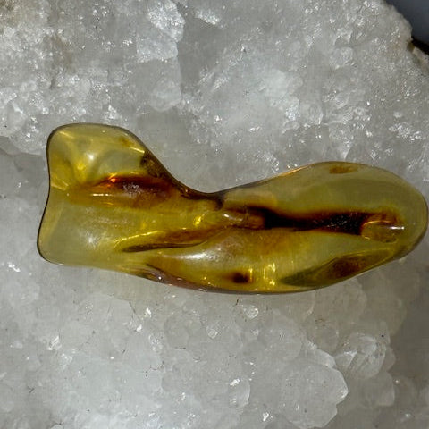 Ambre Baltique oasis de cristal