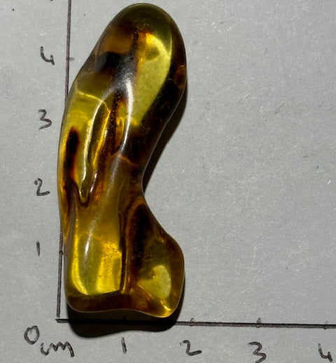 Ambre Baltique oasis de cristal