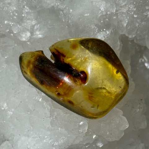 Ambre Baltique oasis de cristal