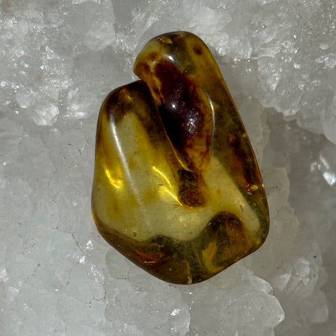 Ambre Baltique oasis de cristal