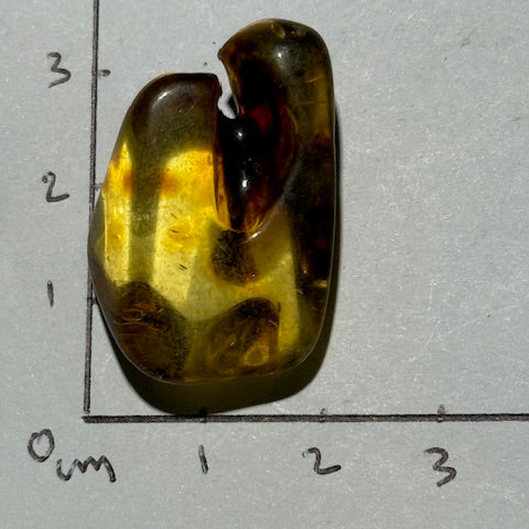 Ambre Baltique oasis de cristal