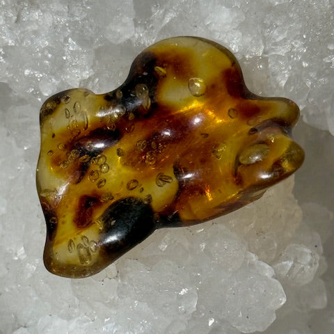 Ambre Baltique oasis de cristal