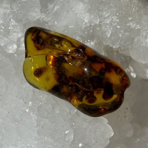 Ambre Baltique oasis de cristal