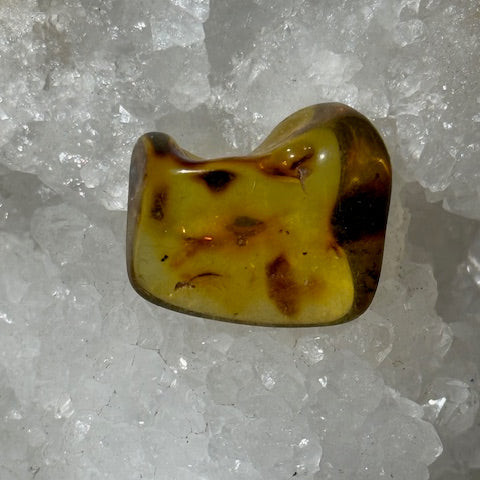 Ambre Baltique oasis de cristal