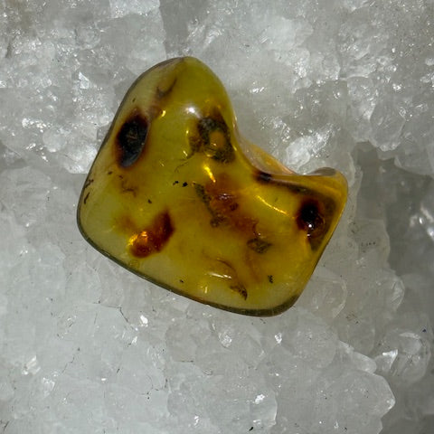 Ambre Baltique oasis de cristal