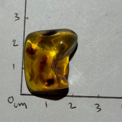 Ambre Baltique oasis de cristal