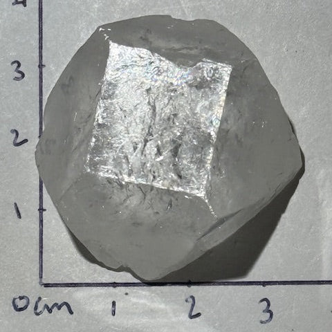 Apophyllite oasis de cristal