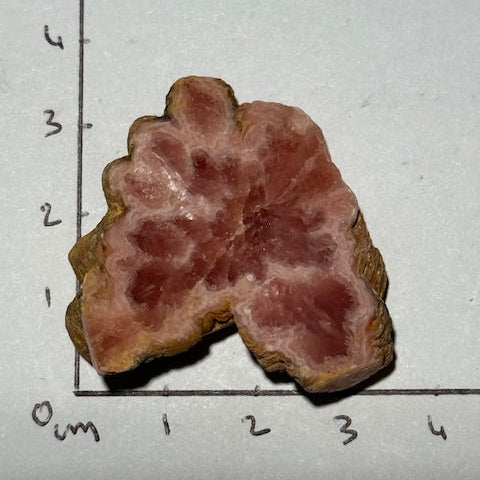 Rhodochrosite  oasis de cristal 