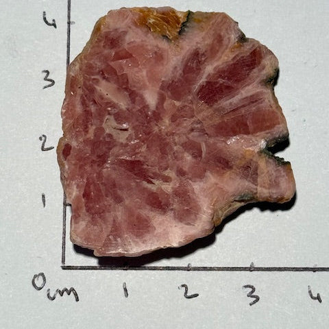 Rhodochrosite  oasis de cristal 