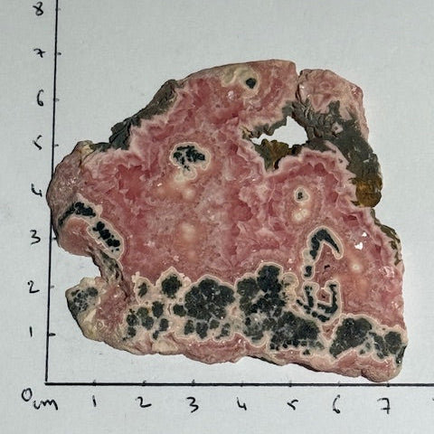 Rhodochrosite  oasis de cristal 