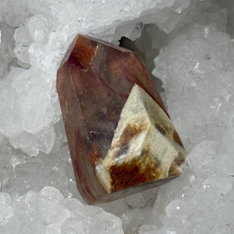 Quartz Queue de Coq (Amphibole)