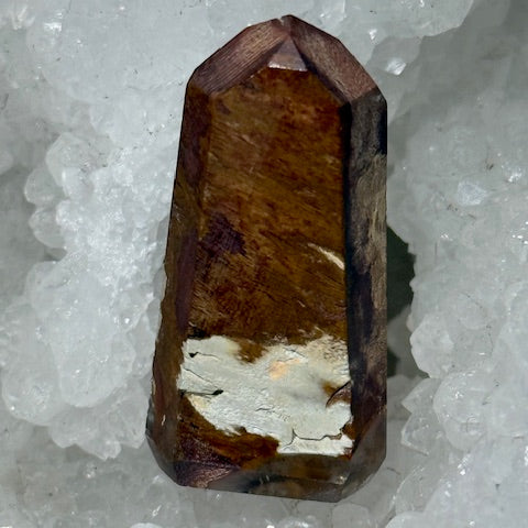 Quartz Queue de Coq (Amphibole)