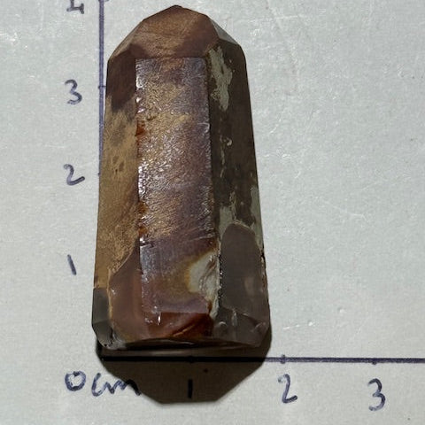 Quartz Queue de Coq (Amphibole)