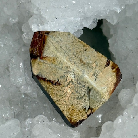 Quartz Queue de Coq (Amphibole)
