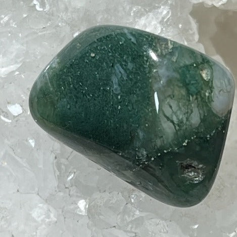 Sage Goddess Medium Tumbled Green Flower Agate for positivity