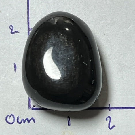 Onyx Noir
