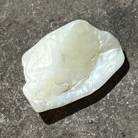 Opale du Mont Shasta