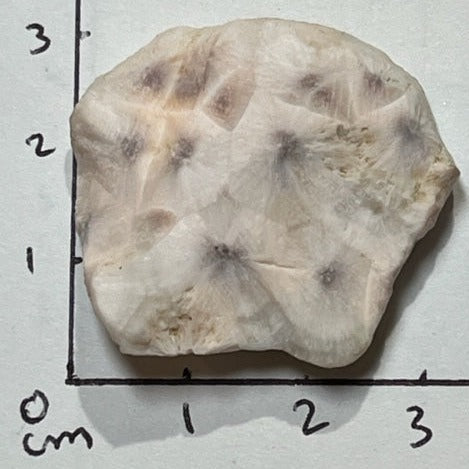 Natrolite