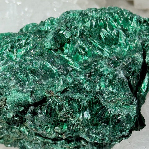 Malachite Fibreuse