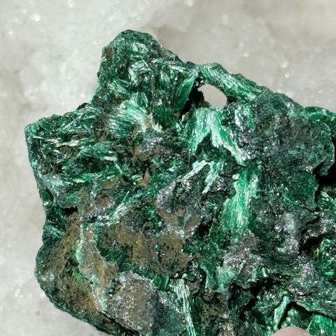 Malachite Fibreuse