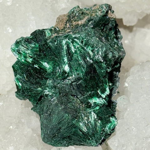 Malachite Fibreuse