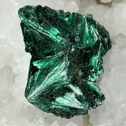 Malachite Fibreuse