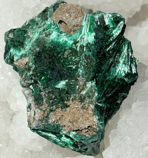 Malachite Fibreuse