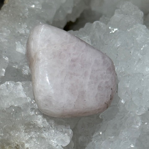 Morganite oasis de cristal