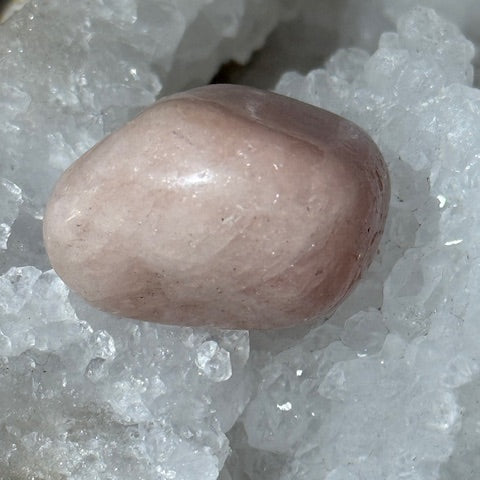 Morganite oasis de cristal