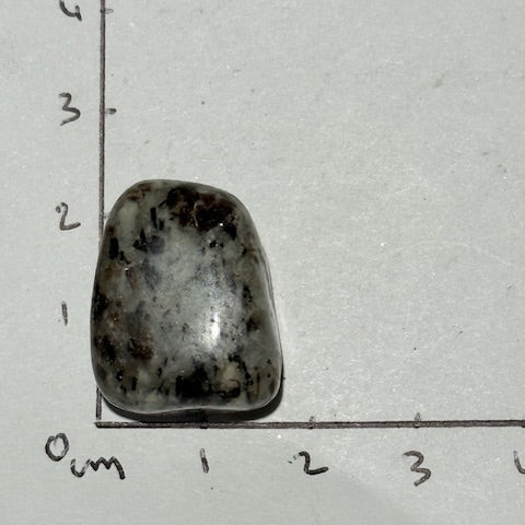 Astrophyllite oasis de cristal 