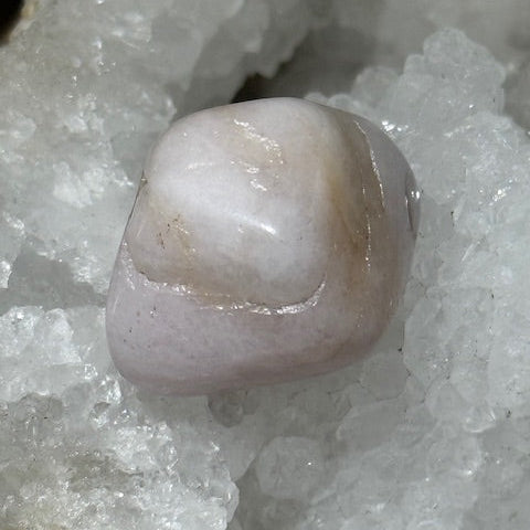 Morganite oasis de cristal