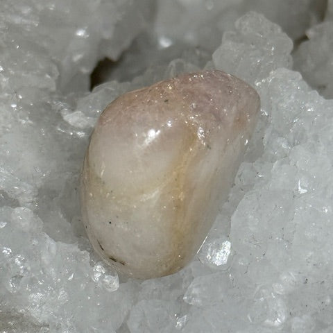 Morganite oasis de cristal