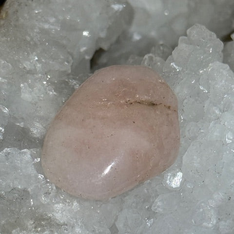 Morganite oasis de cristal