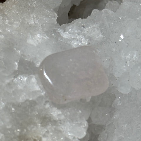 Morganite oasis de cristal