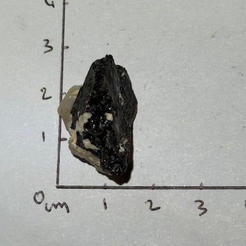 Tantalite  oasis de cristal 