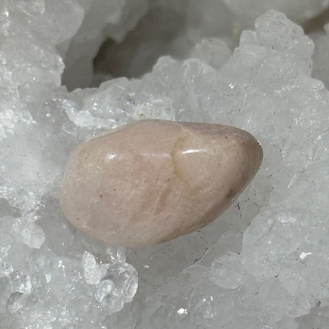 Morganite oasis de cristal