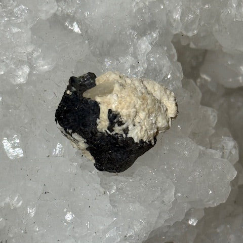 Tantalite avec Albite  oasis de cristal 