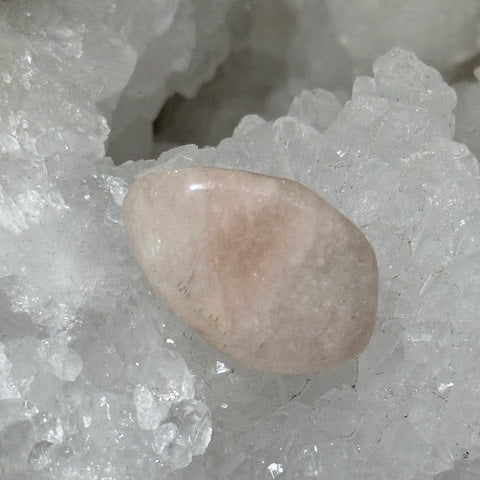 Morganite oasis de cristal
