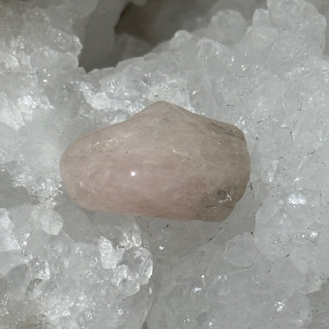 Morganite oasis de cristal