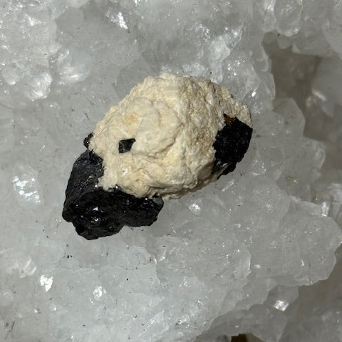 Tantalite avec Albite  oasis de cristal 