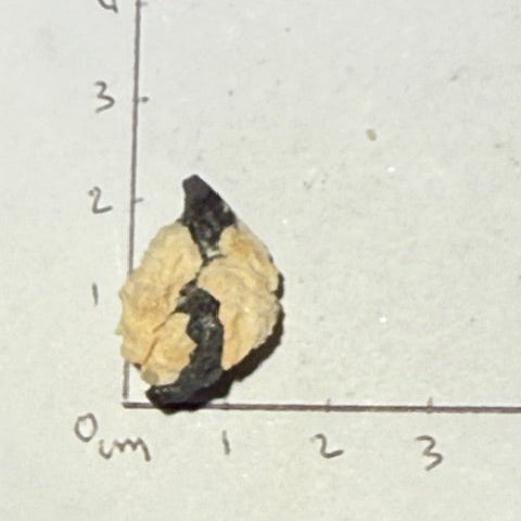 Tantalite avec Albite  oasis de cristal 