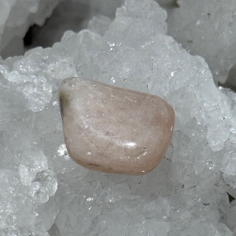 Morganite oasis de cristal