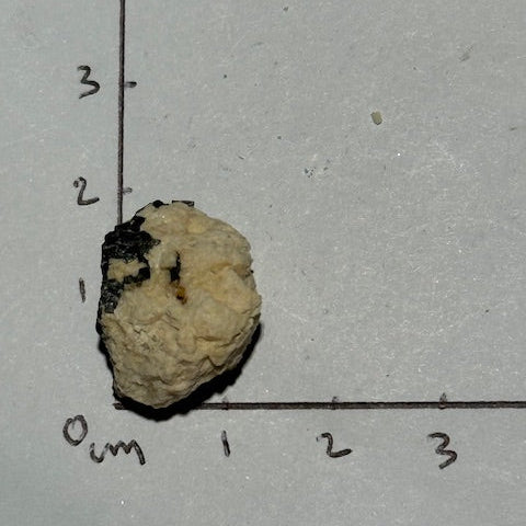 Tantalite avec Albite  oasis de cristal 