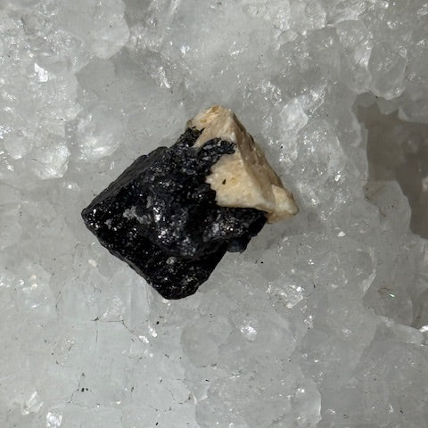 Tantalite avec Albite  oasis de cristal 