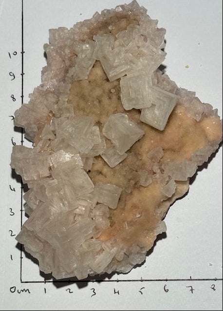 Halite OASIS DE CRISTAL 