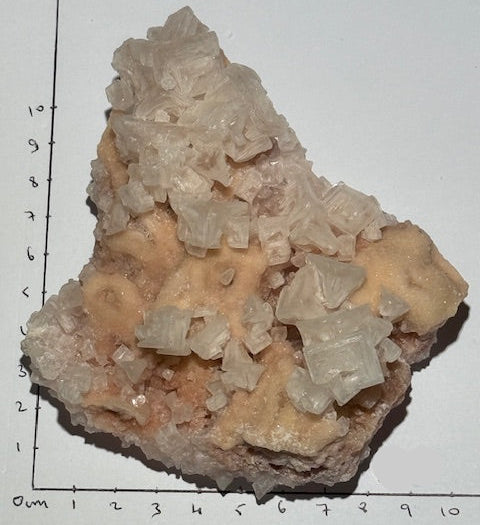 Halite OASIS DE CRISTAL 