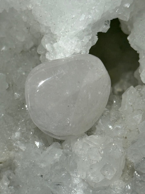 Danburite Rose
