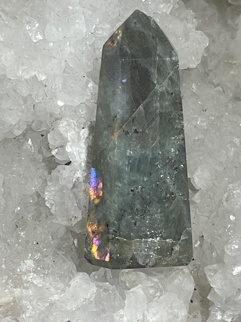 Pointe Labradorite Grade Extra